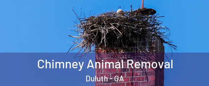 Chimney Animal Removal Duluth - GA