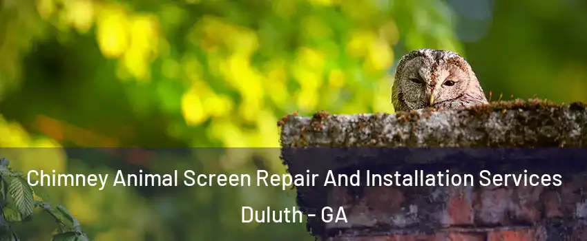  Chimney Animal Screen Repair And Installation Services Duluth - GA