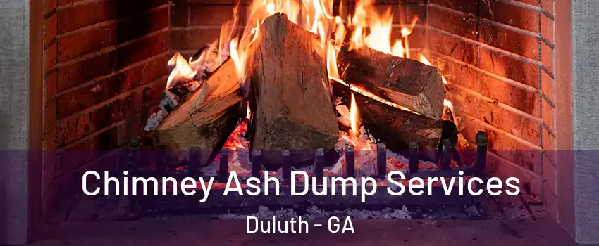  Chimney Ash Dump Services Duluth - GA