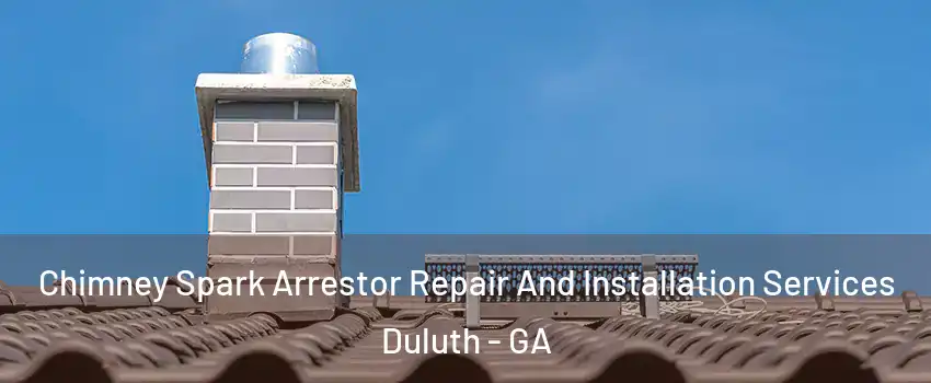  Chimney Spark Arrestor Repair And Installation Services Duluth - GA