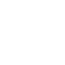 Professional Chimney Flue Installation in Duluth, Georgia