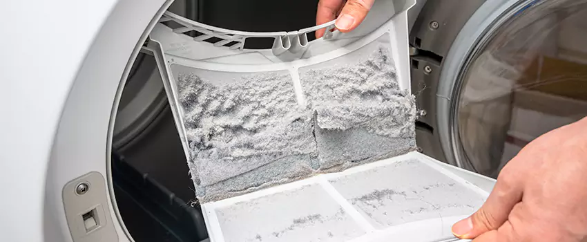 Best Dryer Lint Removal Company in Duluth, Georgia