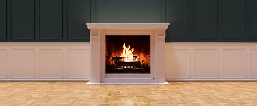Napoleon Electric Fireplaces Inspection Service in Duluth, Georgia