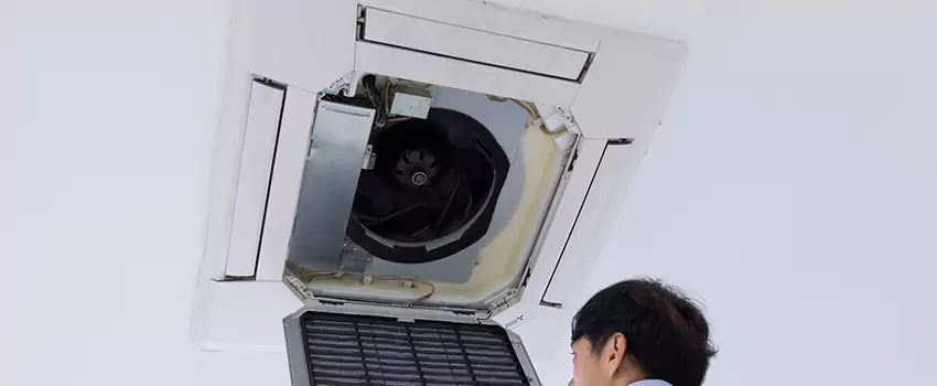 Benefits of Professional Air Duct Cleaning in Duluth, Georgia