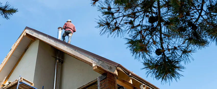 Birds Removal Contractors from Chimney in Duluth, GA