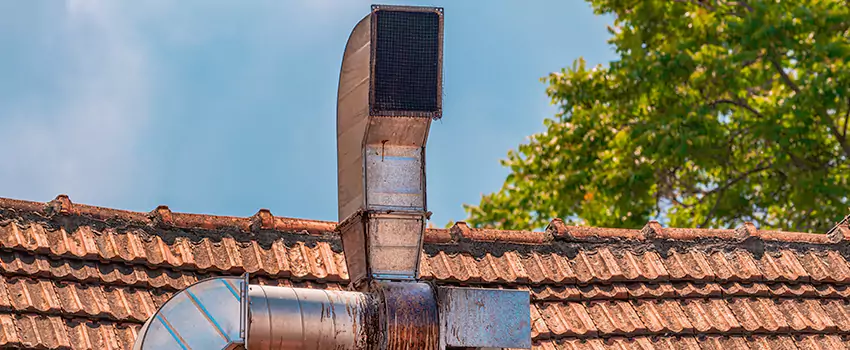 Chimney Blockage Removal in Duluth, Georgia