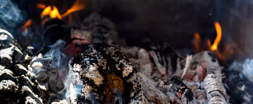 Creosote Removal Experts in Duluth, GA