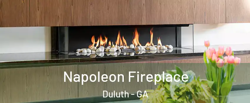  Napoleon Fireplace Duluth - GA